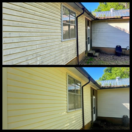 Close up of green algae streaks on georgia siding before house washing