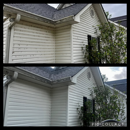 How spring pollen in georgia affects your homes exterior